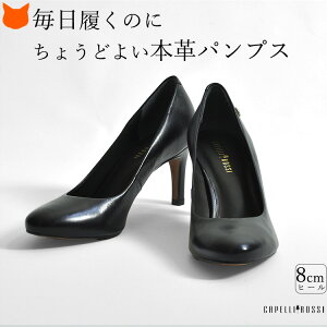 nCq[ pvX EhgD {v uh ₷ v U[ pvX ₷ 7cm 8cm q[ pvX ubN pvX ʋ ItBX TCY 22cm 22.5cm dp  p