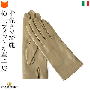 C^A U[  fB[X  v  C^A uh TCY   {v     Mtg TCY Vv  n rWlX ʋ U