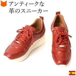 {v Xj[J[ fB[X   y _bhXj[J[ XyC uh U[ V[Y l  傫 TCY 25cm bh  O[ sN