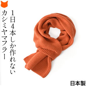 { }t[ JV~ ݃}t[ fB[X JV~ 100 ~j }t[  RpNg  Ȃ n  lbNEH[}[ ~ JV~A }t[ O[ 