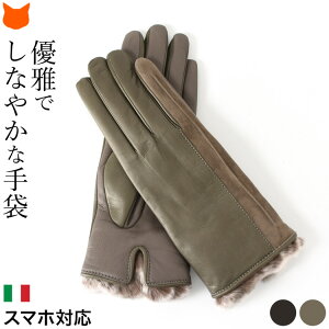 C^A v  fB[X  X}zΉ  uh RA[O[uX g 킢  {v rv p  U[  X}[gtH~ t@[t JV~ 