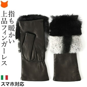 C^A tBK[X  {v fB[X  t@[  wȂ X}zΉ  C^A uh g h 킢  r v   U[  ~ N JV~