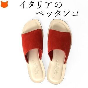 C^A U[ T_ fB[X T_ ؂ v ₷  ₷   ƂȂ {v XG[h T_ Ȃ f ɂȂ O L  I