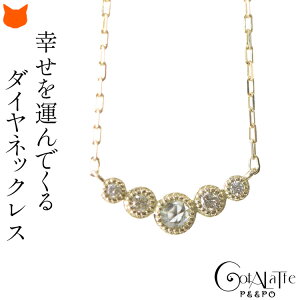 _Ch S[h lbNX Vv  _C ؚ `F[ 40cm fB[X a   ޏ v[g  ig ̓ Mtg ԈȊO `