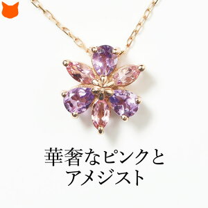 { K10 S[h lbNX  t[ AWXg lbNX VR sN g}  fB[X ig IV 2 10 a a v[g  ޏ  u