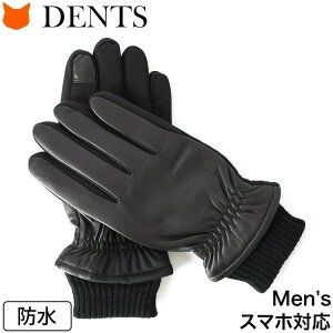 dents  fc O[u Y X}zΉ v U[O[u rWlX {v v X}z jp jbg wAV[v U[ ϐ uh  ubN MTCY LTCY 5-9313 Emsworth ^b