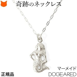 lbNX fB[X }[Ch `[t l lbNX uh hM[h  Vo[ ANZT[ Vo[925 Ԃ y_g AWX^[ t lP  WG