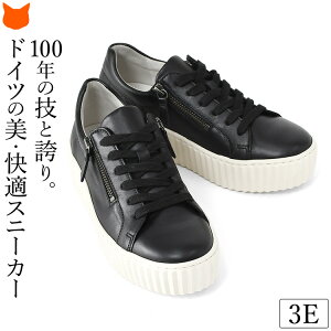 {v Xj[J[ fB[X  Xj[J[ 5cm ꂢ y v ubN zCg  l   EEE _炩 3e L t@Xi[ Ȃ ₷ TChWbp[ 50 60 