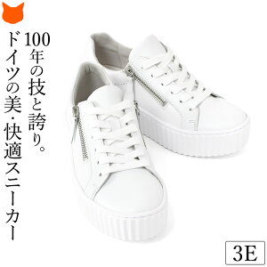 {v Xj[J[ fB[X  Xj[J[ 5cm ꂢ y v ubN zCg  l   EEE _炩 3e L t@Xi[ Ȃ ₷ TChWbp[ 50 60 