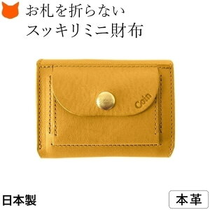 z fB[X O܂ { v ~j {v U[  C^AU? g₷  RpNg EHbg 3܂ {bNX^ K ^ e    F ubN 