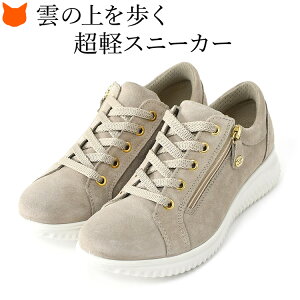C^A  Xj[J[ y  uh C O[ 傫TCY y x[W XG[h U[ Xj[J[ _炩 ₷ Ch L 3E 50 60 {v Ȃ Rt
