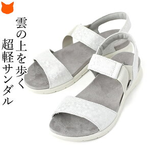 C^A X|[c T_ tbg T_ ؂ T_ fB[X C^A uh  y JWA  ₷ {v  ubN Vo[ Ȃ Xgb