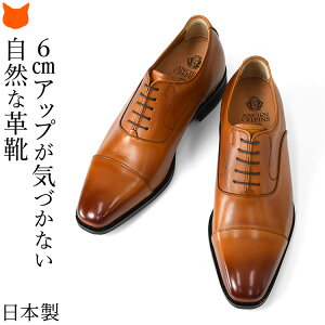 { rWlXV[Y Y q[Abv V[Y V[NbgV[Y vC wȂ C v gup 6cmAbv gAbv V[Y rWlX IbNXtH[hV[Y H X