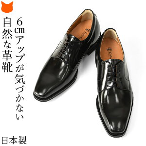 { rWlXV[Y Y V[NbgV[Y q[Abv V[Y vC wȂ C Om[Y {v 6cm gAbv V[Y _[r[V[Y OH v[gD  