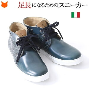 U[ Xj[J[ Y {v nCJbg C^A uh  lCr[  zCg \[ ^ 傫TCY ^W wȂC