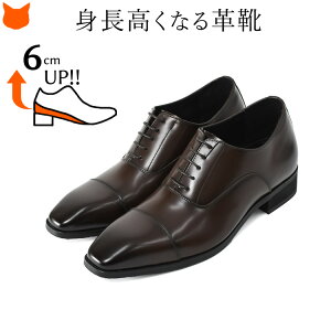 {v rWlXV[Y Y vC 3E gAbv V[Y 6cm Abv V[NbgV[Y C H  24.5 25cm TCY uE F ubN uh }hX madras rWlX j