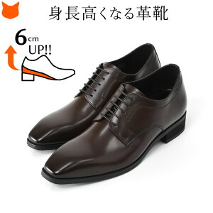 {v rWlXV[Y Y vC 3E gAbv V[Y V[Nbg 6cm Abv V[NbgV[Y OH  TCY 24.5 25cm _[N uE  F ubN uh 