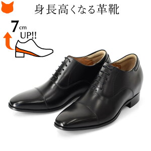 {v V[NbgV[Y rWlXV[Y Y V[Nbg vC 3E gAbv 7cm Xg[g`bv H  TCY 23.5 IbNXtH[hV[Y uE F ubN 