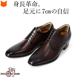 {v V[NbgV[Y vC rWlXV[Y Y V[Y 3E L gup 7cm wȂC V[Nbg C OH _[r[V[Y v[gD  TCY 24cm uE 