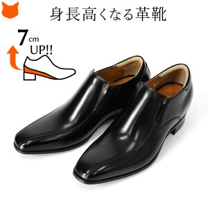 {v V[NbgV[Y vC rWlXV[Y Y V[Y 3E L gAbv V[Y 7cm RȂ  Xb| [t@[ @v TCY ubN uh }hX mad