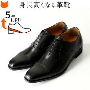 { vC {v V[Nbg V[Y 5cm rWlXV[Y gAbv wȂC }hX f[ ₷ Xg[g`bv IbNXtH[h V[Y madras modello  ub