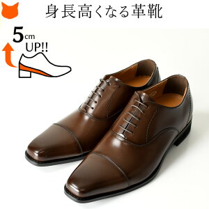 { vC {v V[Nbg V[Y 5cm rWlXV[Y gAbv wȂC }hX f[ ₷ Xg[g`bv IbNXtH[h V[Y madras modello  ub