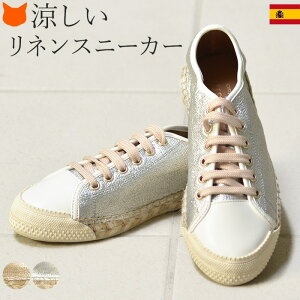 l fB[X Xj[J[  ^bN  GXph[ ₷ ₷ f ɂȂ S[h Vo[ tbgV[Y  傫TCY 25cm ؂ C XyC