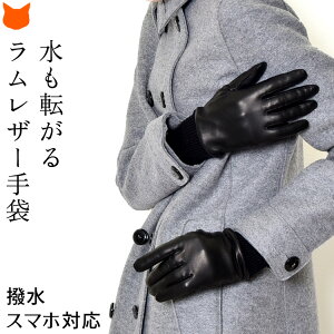 { r v  fB[X X}z   U[ X}zΉ  ^b`pl X}[gtH Ή g  h ~ NX}X v[g  X}z  ł  h