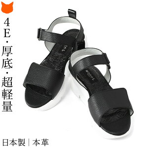 { X|[c T_  T_ }WbNe[v fB[X y  JWA  _uxg T_ Xgbv T_ NbV  b L 4E ₷ 