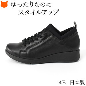 { 4E Xj[J[ fB[X ubN vC y   ʋ ₷  ₷ Ch L R S Ђ EFbW\[  Xj[J[  ɂ y 50 y