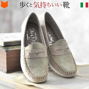 [t@[ fB[X Cq[  {v RtH[gV[Y }jbVV[Y XG[h U[ y y ɂȂ ₷ l zCg  x[W ʋ TCY 22cm 