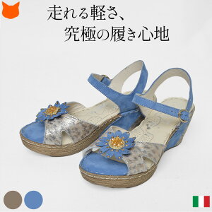 RtH[g T_ ₷ Ȃ fB[X EFbW\[ T_  U[ {v q[ 7cm y y ɂȂ  Xgbv u[  x[W  TCY 22cm