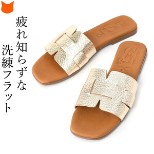 XyC tbg ~[ T_ {v fB[X  Vo[ T_ uh JWA NbV  ɂ tbgT_  [q[ RtH[g S[