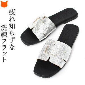 XyC tbg ~[ T_ {v fB[X  Vo[ T_ uh JWA NbV  ɂ tbgT_  [q[ RtH[g S[