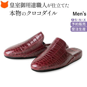 {  Xbp NR_C v U[ [V[Y Y uh {v Xbp  ubN  lCr[ O[ 傫TCY  Ȃ tH[} wZ ʐ 