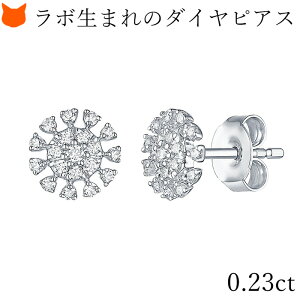 ꗱ _Ch sAX t[  fB[X uh ؚ Vv Vo[ sAX _C X^bhsAX 10k zCgS[h WG 0.25Jbg 0.1ct ȏ {OE_Ch 