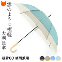 雨傘 レディース 長傘 晴雨兼用 傘 60cm 日傘 ブランド 傘 大きい サイズ 丈夫 軽量 軽い おしゃれ 遮光 遮熱 uv カット 大判 グラスファイバー 通勤 ビジネス ブラック 黒 グレー 青 ブルー グリーン 緑 イエロー 黄色 手開き 誕生日 プレゼント
