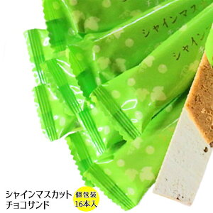 VC}XJbg`RThNbL[16{ yRzyVC}XJbgzy VC}XJbg `RTh NbL[zyIWizy񂹁z