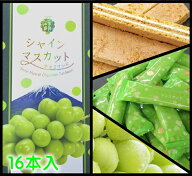 シャインマスカットチョコサンドクッキー16本入 【山梨】【シャインマスカット】【 シャインマスカット …