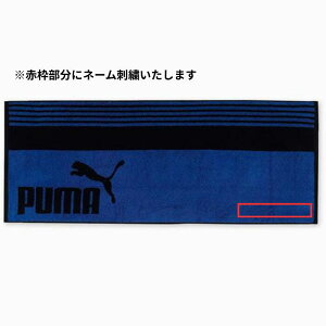 PUMA tFCX^IBOX hJT[rX  LO cLO Mtg v[g g[jO {bNX^I 054873