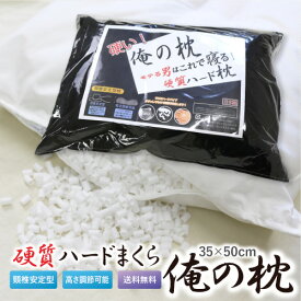 枕 送料無料 35×50cm 日本製 俺の枕 （ブラックカラー専用枕カバー付） ハードパイプ使用 頸椎安定型 オールシーズン まくら 高さ調節可能 オールシーズン まくら 高さ調節可能 まくら ピロー プレゼント やわらか 新生活 車中泊 ポリエチレンパイプ