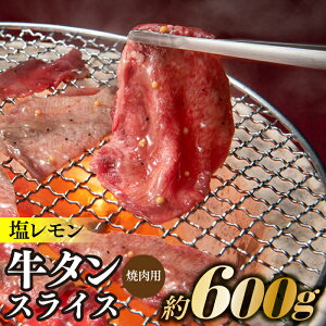 �����������^���X���C�X�E�ē��p�i��600g�j.ccr-126-10