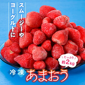 yԌIIzⓀ܂()2kg.bgf-129-10