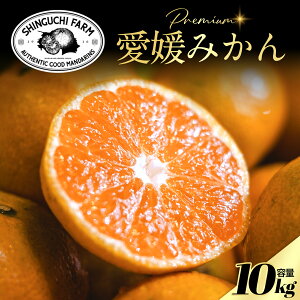 Vܔ_Ƃɂ߂v~AyQ݂ 10kgzyVct܎YnzQ ls ݂yz S M L y_ƒzV_ ƒp B݂ ݂ ~J ʕ { t