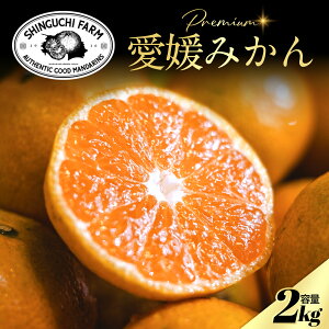 Vܔ_Ƃɂ߂v~AyQ݂ 2kgzyVct܎YnzQ ls ݂yz S M L y_ƒzV_ ƒp B݂ ݂ ~J ʕ { t