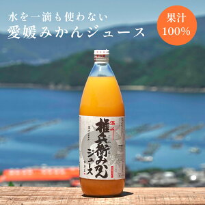 yHgȂzQ݂100%Xg[gW[X ʏ`100 Y q݂W[X V_ _ƒ  Q݂ l ݂ q݂ i 100