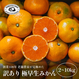 【愛媛みかんの老舗】訳あり 極早生みかん 【創業108年】【お得な価格で、美味しさそのまま】【送料無料】【農家直送】新口農園 家庭用 愛媛県 西宇和 八幡浜 川上産 愛媛みかん 温州みか