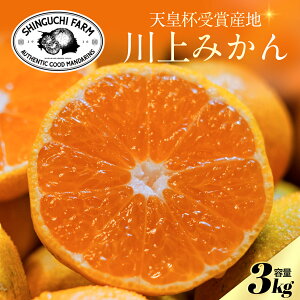 yVct܎Ynz ݂ 3kg yn108N Vܔ_ƁzyzV_ Q ls Fa  S M L y_ƒzƒp B݂ ݂ ~J ʕ { t[c k 