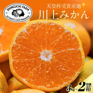 yVct܎Ynz ݂ 3kg×2 yn108N Vܔ_ƁzyzV_ Q ls Fa  S M L 6kgy_ƒzƒp B݂ ݂ ~J ʕ { t[c 