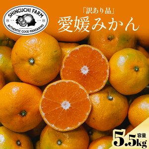 y󂠂肾ǔ̂܂܁z Q݂ 5.5kg yzyn108N Q݂̘V܁zy_ƒzV_ 󂠂 Q Fa l ݂ Q݂ B݂ 